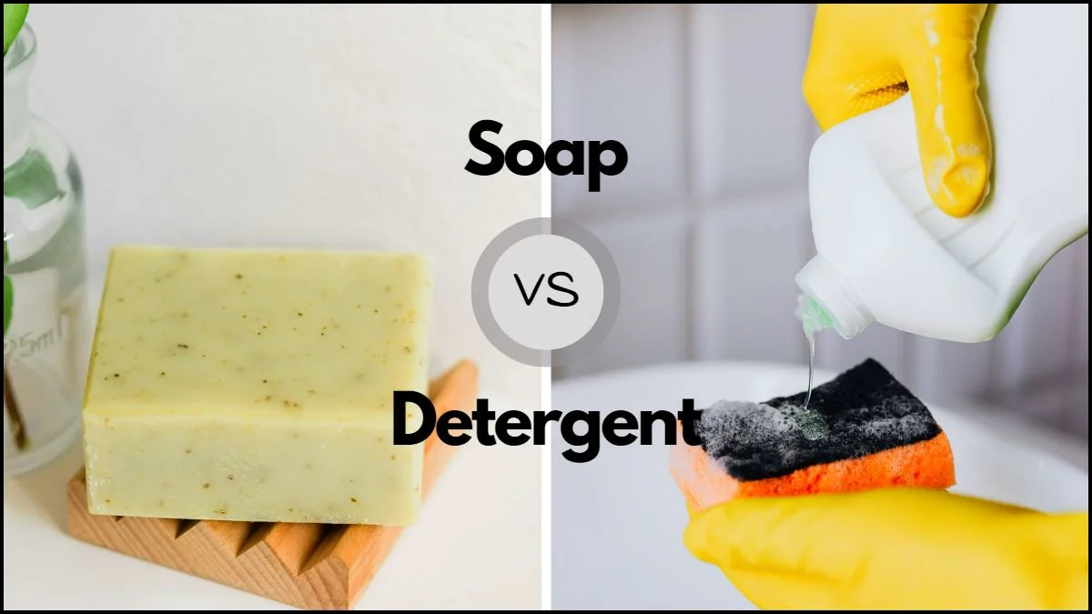 HSC Chemistry Module 7: Soaps & Detergents — Complete Exam Guide
